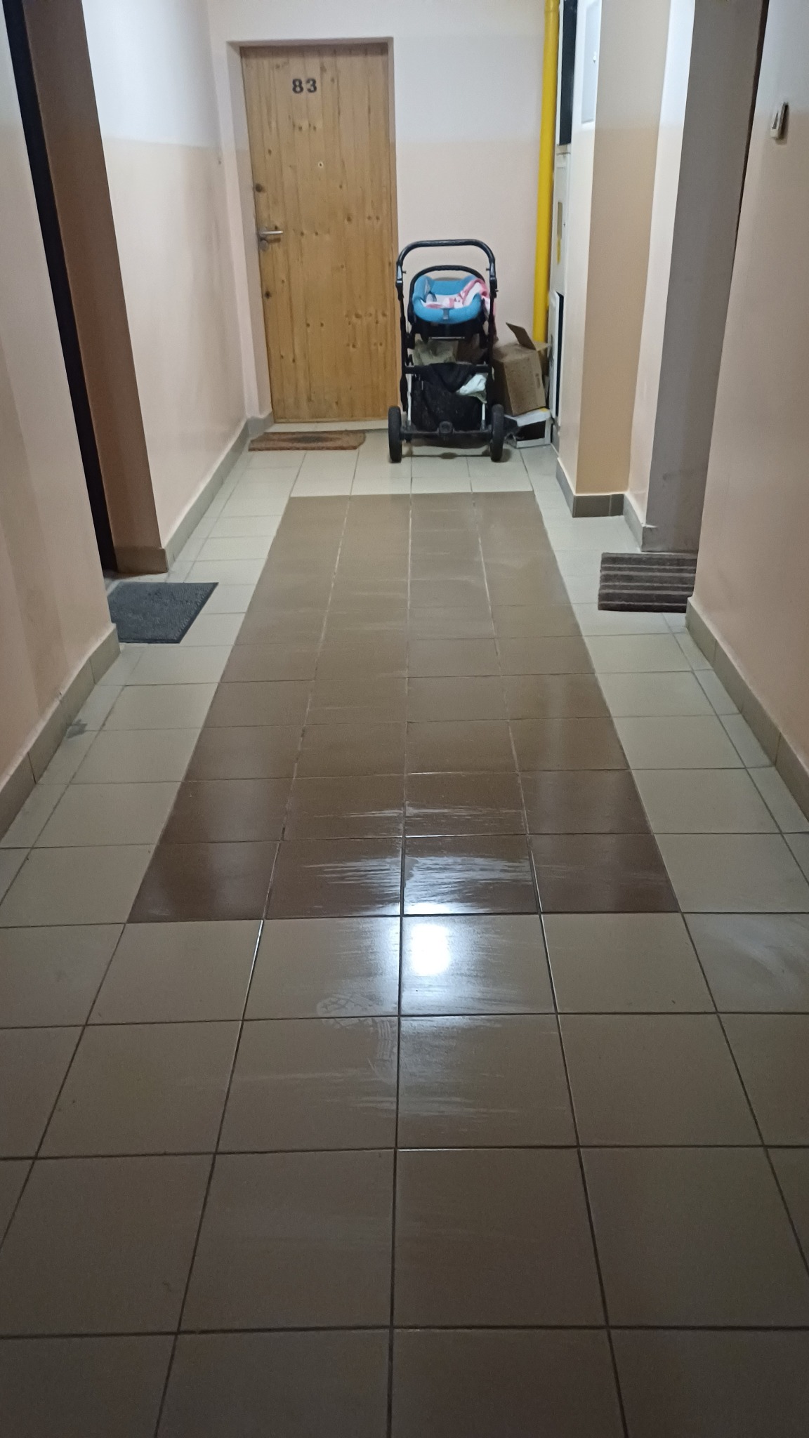 Błyszcząca, świeżo umyta podłoga z płytek w korytarzu bloku mieszkalnego. W tle wózek dziecięcy i drzwi z numerem 83. Widok z perspektywy podłogi.
