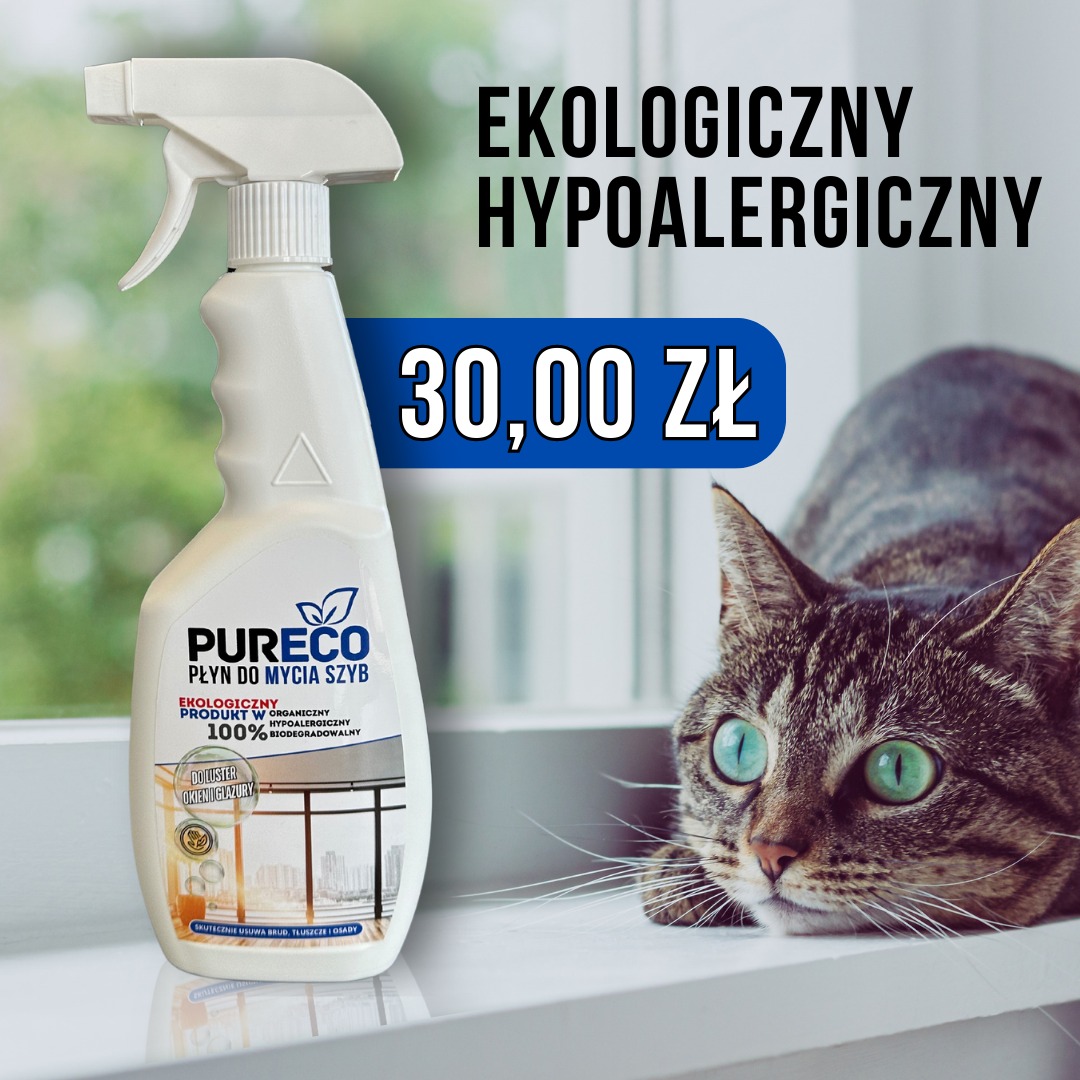 Ekologiczny płyn do mycia szyb Pureco, z ceną 30 zł, na tle okna i kota z zielonymi oczami. Produkt organiczny i biodegradowalny, do luster, okien i glazury.