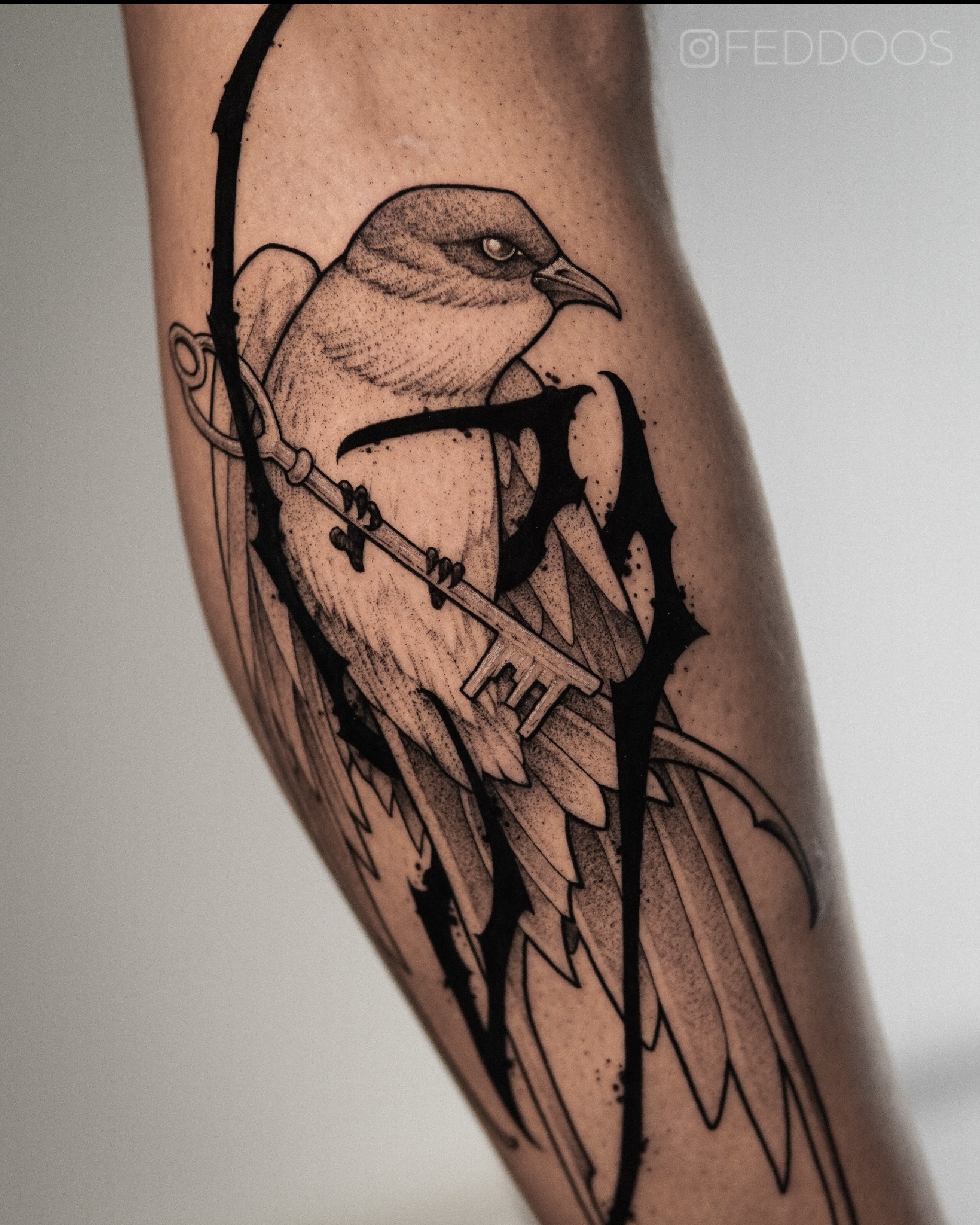 Czarno-biały tatuaż na łydce przedstawiający ptaka trzymającego klucz, wykonany w stylu graficznym z dbałością o detale i cieniowanie. Widoczne logo wykonawcy.