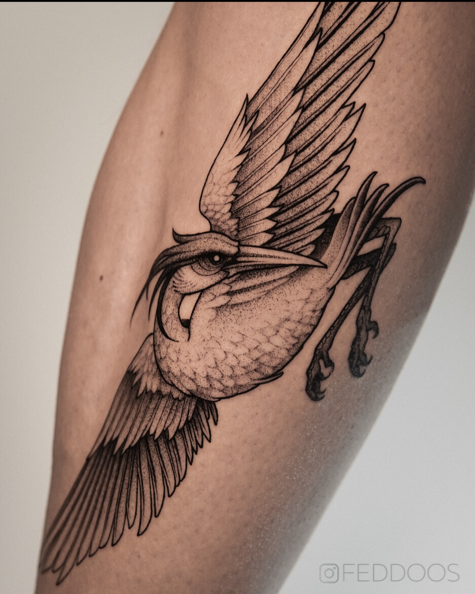 Czarno-biały tatuaż na ramieniu przedstawiający stylizowanego ptaka w locie, wykonany techniką dotwork, z widocznym podpisem autora w prawym dolnym rogu.