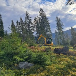 Tomasz Barciewicz - Domy z Element&oacute;w Wit&oacute;w