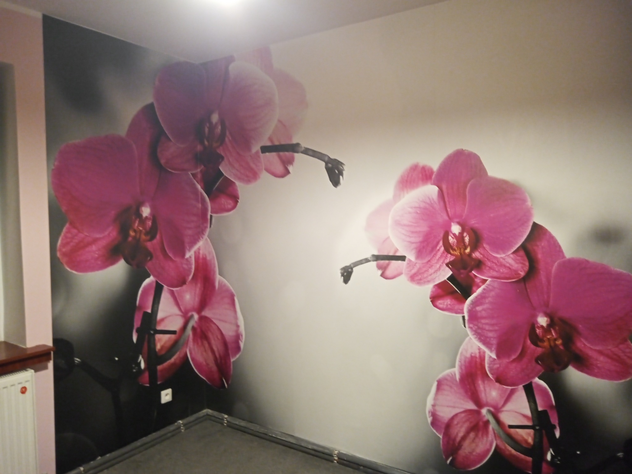 Fototapeta z motywem różowych orchidei na ścianie w pokoju. Dekoracja wnętrza z bliska, widoczny fragment grzejnika i ramy łóżka.