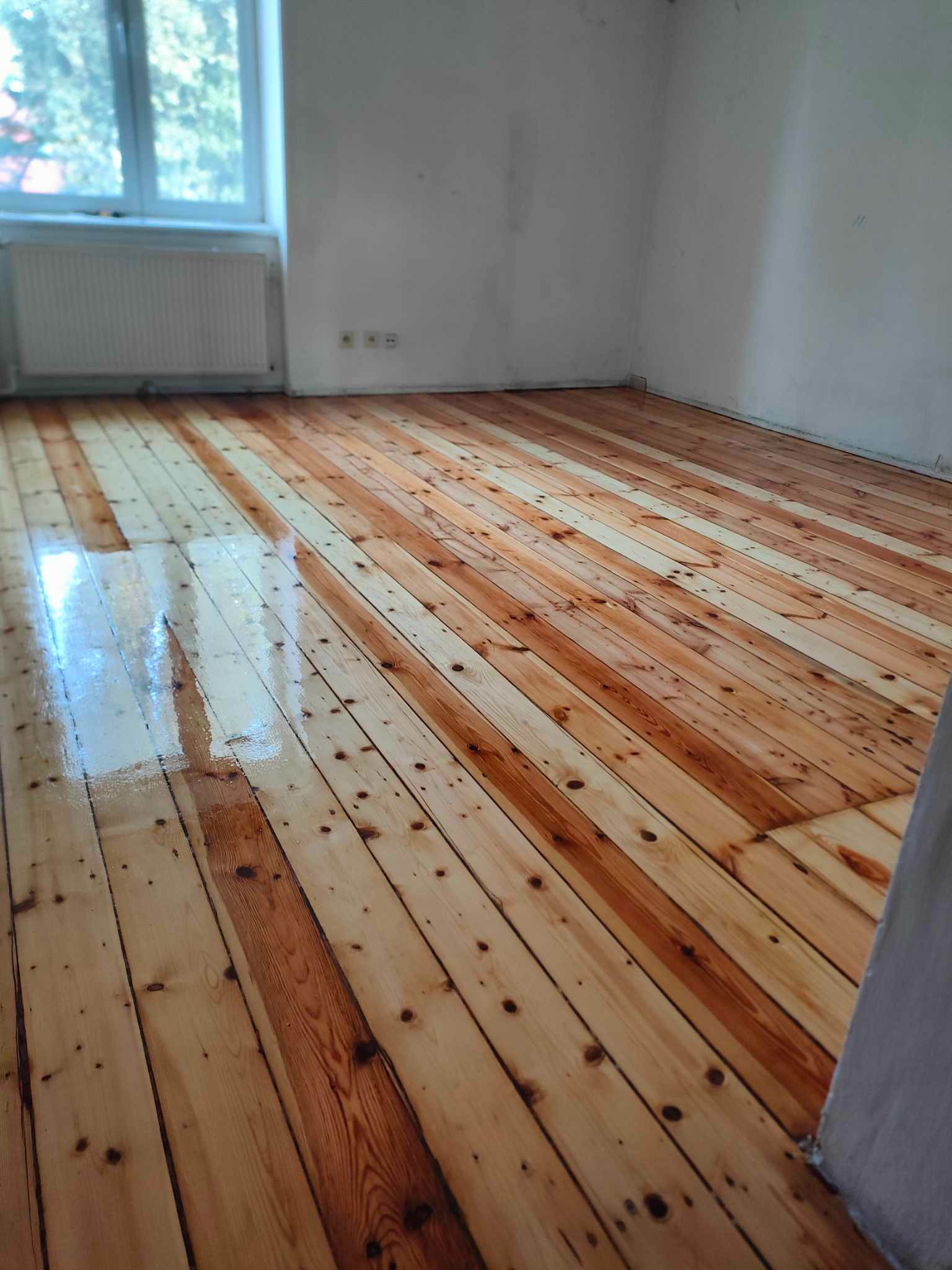 Błyszcząca, świeżo polakierowana podłoga z jasnego drewna w pustym pokoju z oknem i grzejnikiem. Widoczne sęki i naturalny rysunek drewna. Świeżo położony lakier.