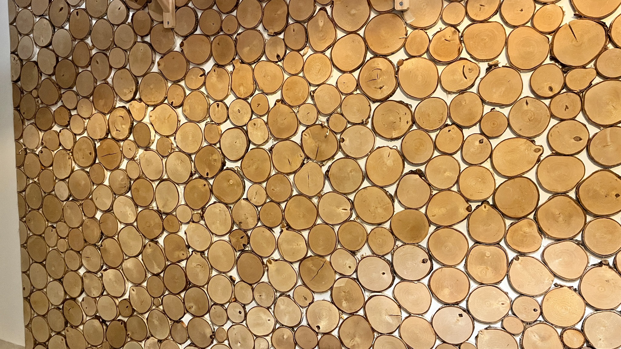 Ściana wykończona dekoracyjnymi, okrągłymi plastrami drewna o zróżnicowanej średnicy i jasnej barwie, tworzącymi unikalną fakturę. Widoczne naturalne słoje i kora.