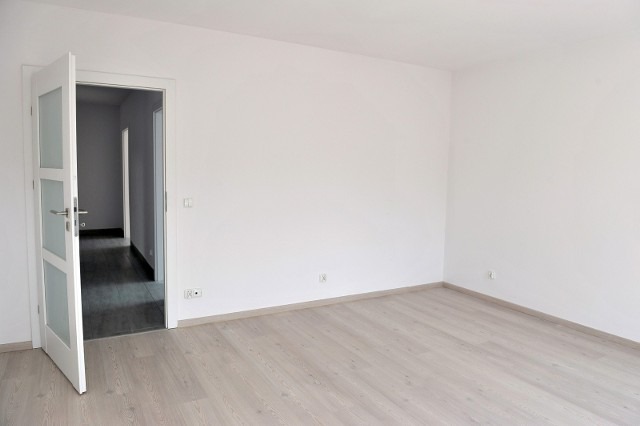 Jasne, puste wnętrze z panelami podłogowymi i otwartymi, białymi drzwiami z przeszkleniami. Świeżo pomalowane ściany, widoczne gniazdko elektryczne.