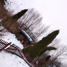 Zimowy krajobraz ogrodu z tujami, drewnianym płotem i budynkiem z panelami słonecznymi, pokryty śniegiem, widziany z nietypowej perspektywy.