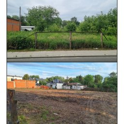 Wycinka drzew Pruszków 2