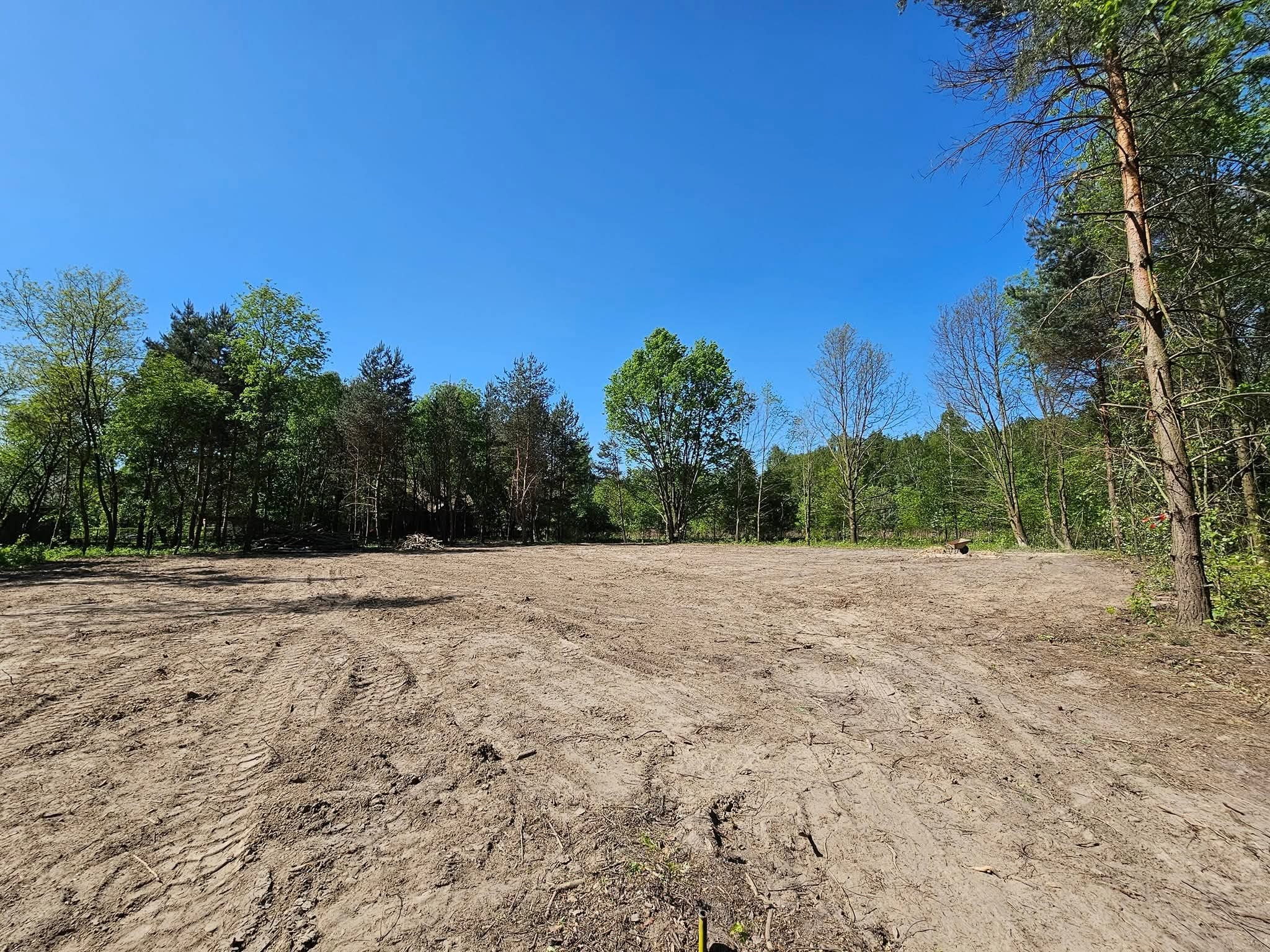 Wyrównany teren pod budowę otoczony drzewami w słoneczny dzień. Widoczne ślady opon i pozostałości po wycince drzew. Błękitne niebo w tle.