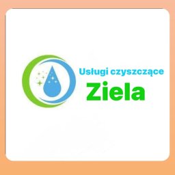 Usługi czyszczące Ziela - Pralnia Dywanów Mieleszyn