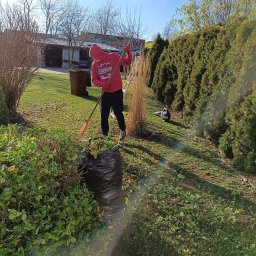 Usługi czyszczące Ziela - Osoba w czerwonej bluzie grabi liście do czarnego worka na trawniku, otoczona zielenią krzewów i drzew. W tle widoczny budynek z garażem.
