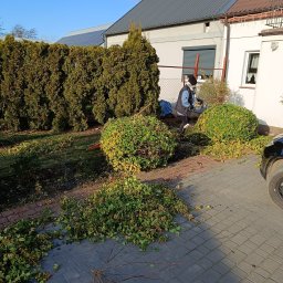 Usługi czyszczące Ziela - Osoba w ogrodzie przycina krzewy elektrycznymi nożycami. Wokół leżą obcięte gałęzie. W tle dom z panelami słonecznymi i wysoki żywopłot.