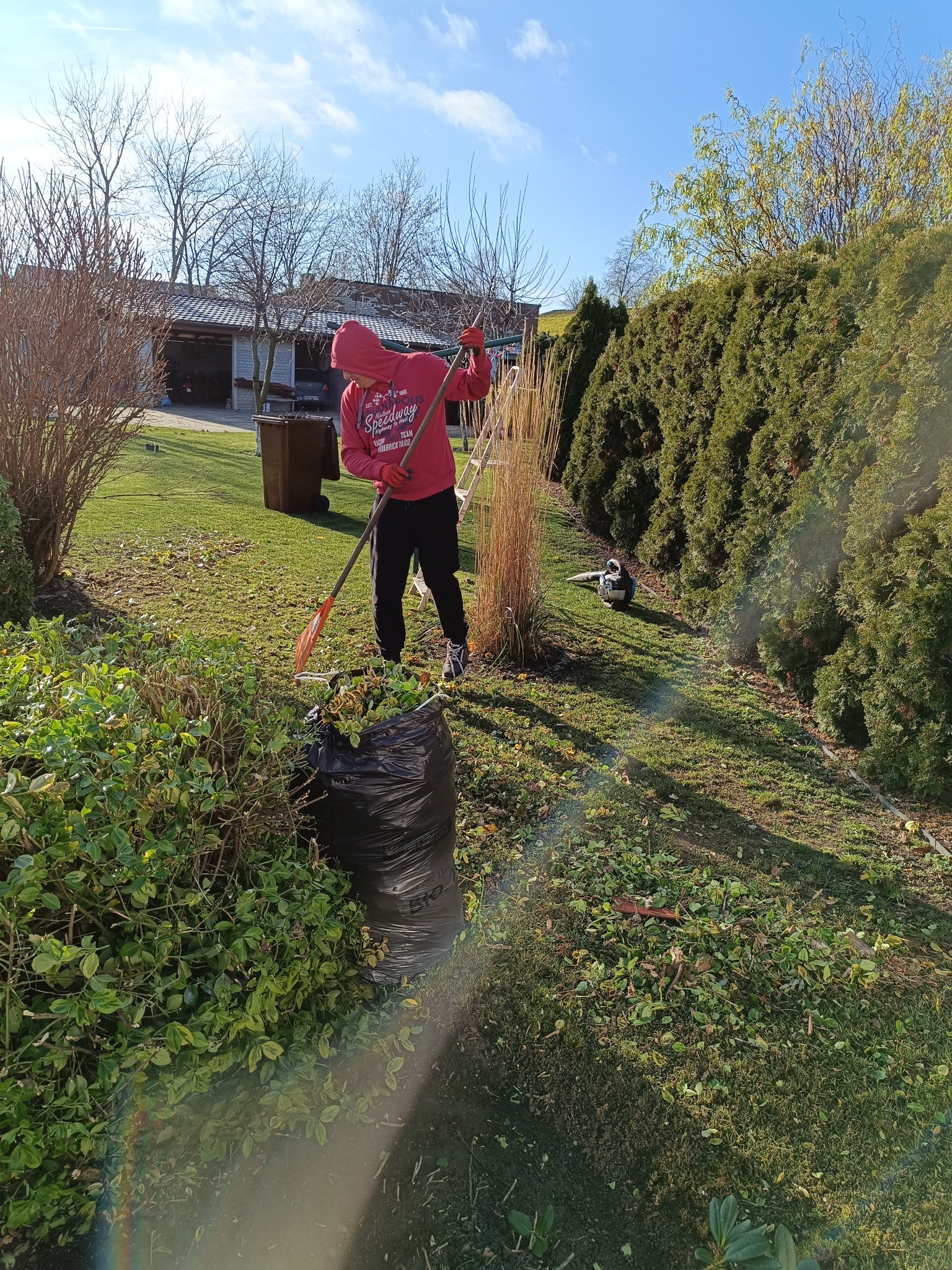 Osoba w czerwonej bluzie grabi liście do czarnego worka na trawniku, otoczona zielenią krzewów i drzew. W tle widoczny budynek z garażem.