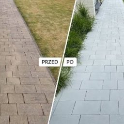 Jakub Mikuszek - Kostka brukowa przed i po czyszczeniu, widok z góry. Po lewej stronie zabrudzona, po prawej wyczyszczona, jasnoszara. Widoczne trawnik i krzewy.
