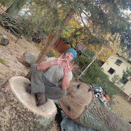 Wycinka dębu pochylonego nad liniami energetycznymi (po).