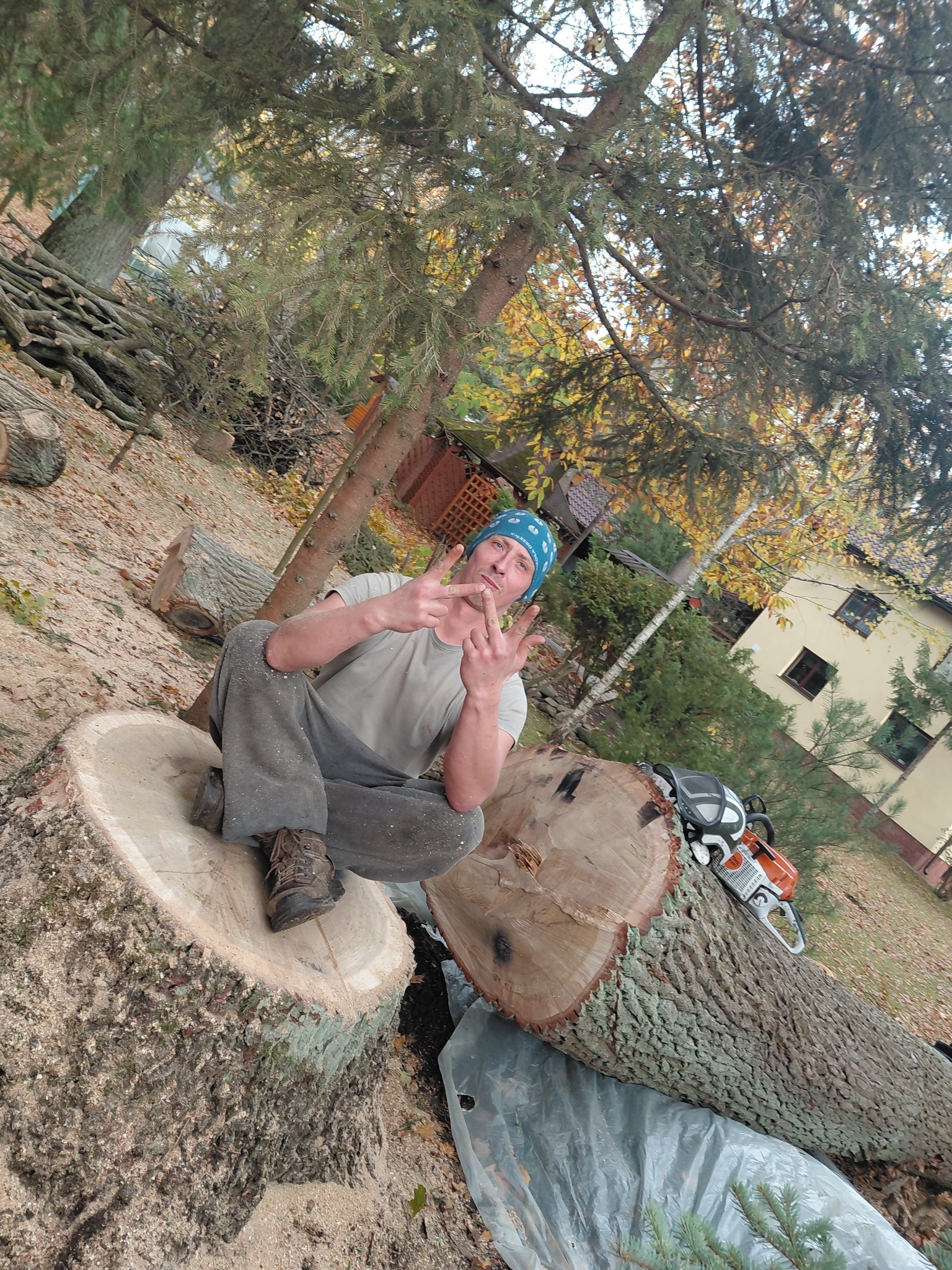 Wycinka dębu pochylonego nad liniami energetycznymi (po).