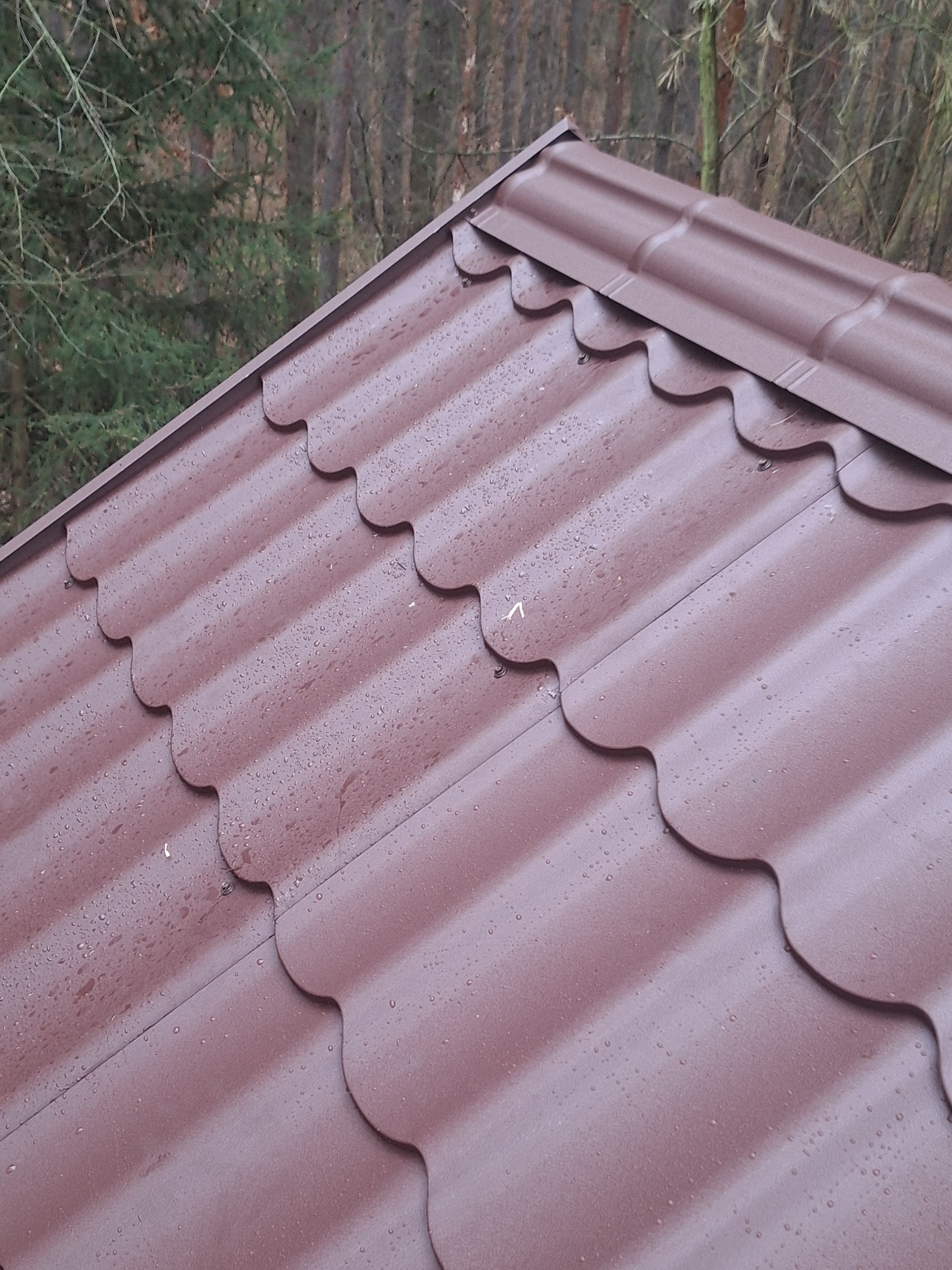 Ciemnobrązowa blachodachówka modułowa z kroplami deszczu, ułożona na dachu. W tle widoczne drzewa iglaste, co sugeruje leśne otoczenie.