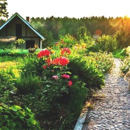 Royal Green Garden Oleksandr Vashchenko - Instalacja Tryskaczowa Częstochowa