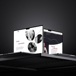 Strona internetowa - wizytówka