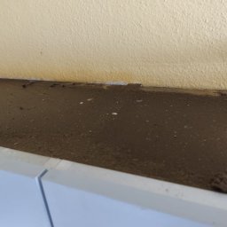 To co zastaliśmy na szafce w kuchni. Tłuszcz wielowarstwowy wręcz.