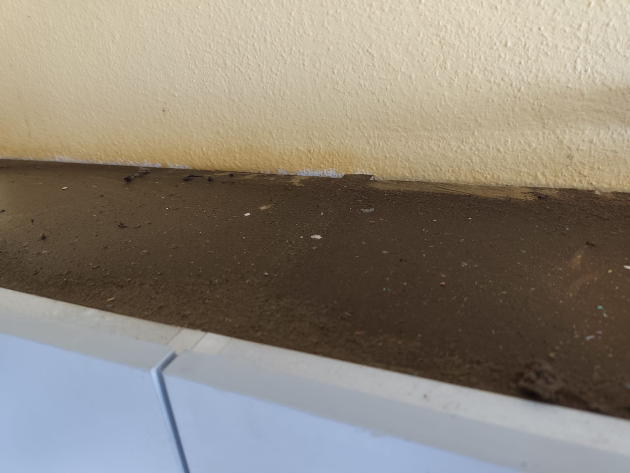 To co zastaliśmy na szafce w kuchni. Tłuszcz wielowarstwowy wręcz.