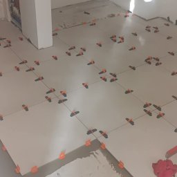 Edward Ostrołęka - Układanie jasnych płytek podłogowych z użyciem pomarańczowych klipsów poziomujących w trakcie remontu. Widoczne fugi i narzędzia glazurnicze.