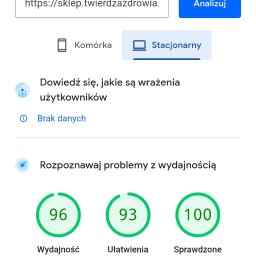 Jakub Łepkowski - Wyniki testu PageSpeed Insights dla sklepu internetowego: wysoka wydajność (96), ułatwienia dostępu (93), sprawdzone metody (100) i SEO (100). Raport z 5 grudnia 2025.