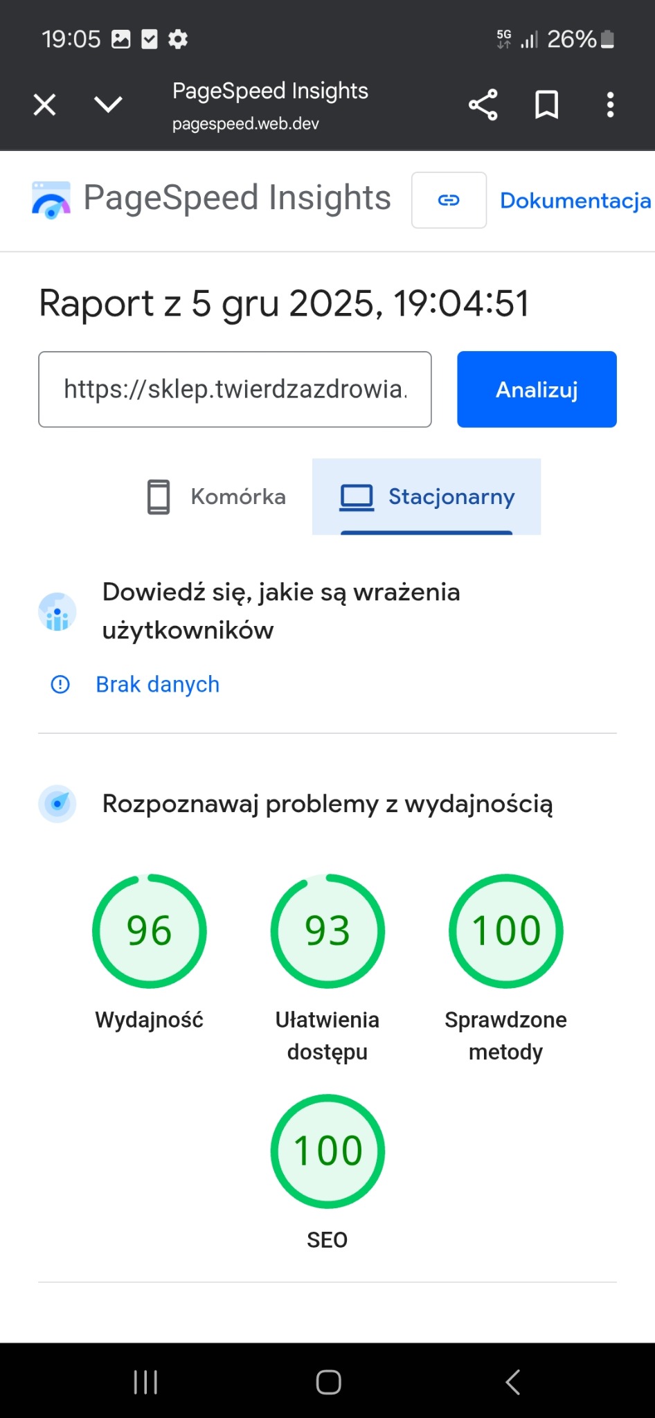 Wyniki testu PageSpeed Insights dla sklepu internetowego: wysoka wydajność (96), ułatwienia dostępu (93), sprawdzone metody (100) i SEO (100). Raport z 5 grudnia 2025.