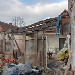 Przycinanie drzew Szydłowice 1