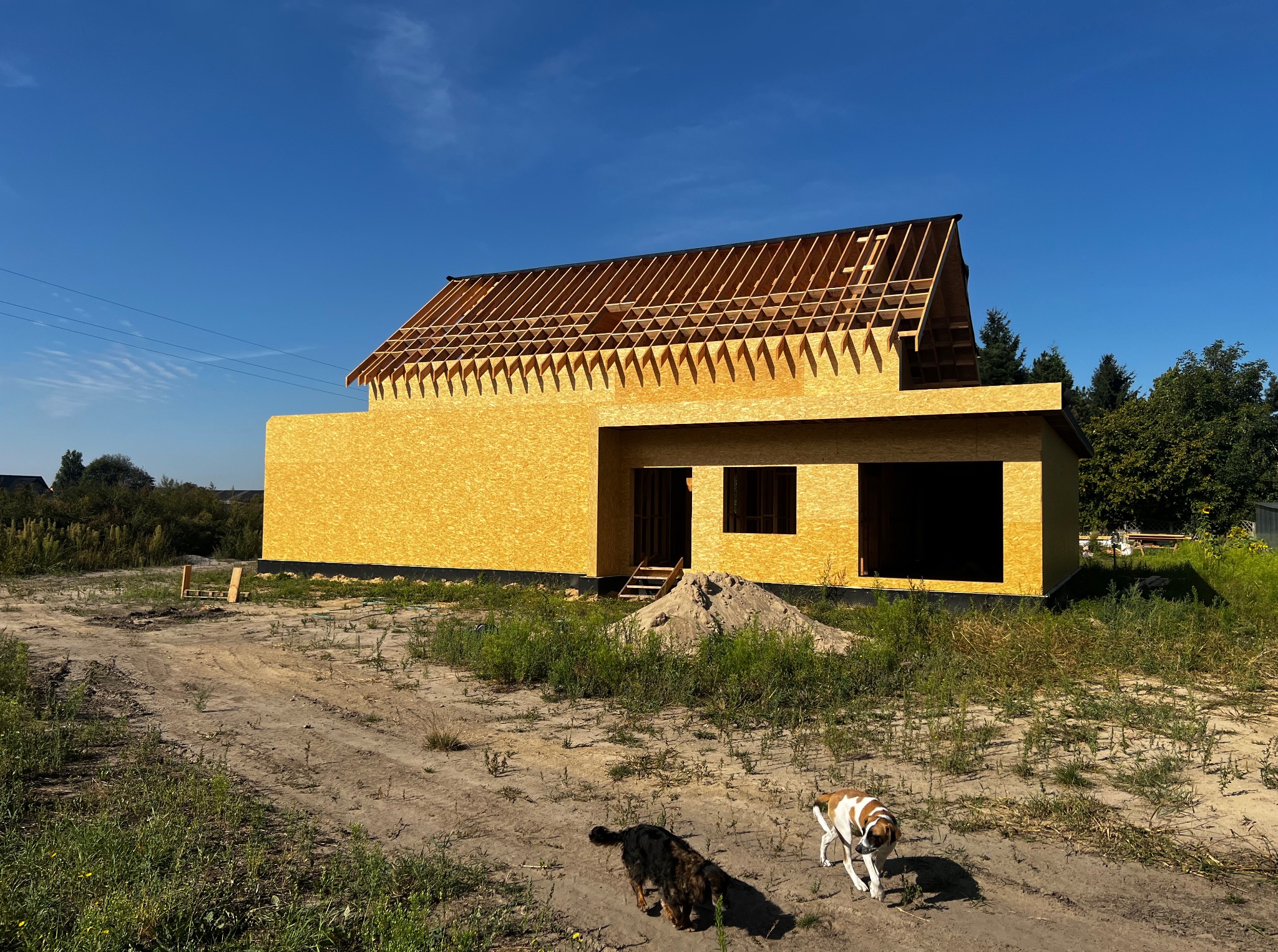 Dom w trakcie budowy z widoczną konstrukcją dachu i ścianami z płyt OSB, na pierwszym planie dwa psy na tle nieba i zieleni.