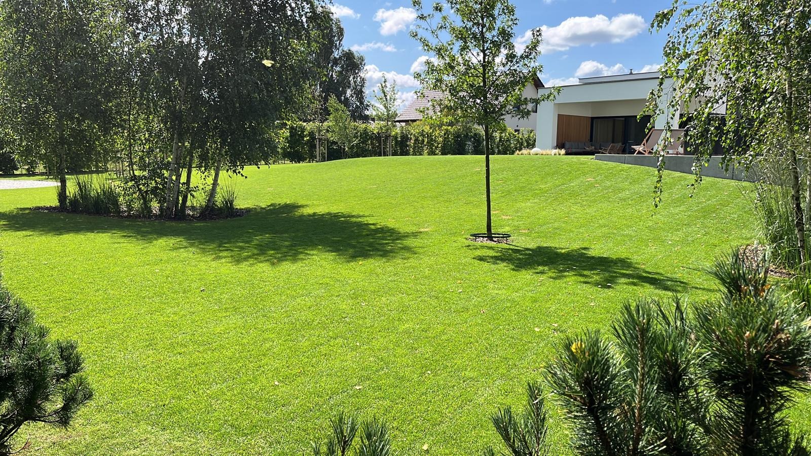 Zadbany trawnik w Śremie z drzewami i krzewami, na tle nowoczesnego domu. Perfekcyjnie skoszona, zielona przestrzeń, idealna do relaksu i rekreacji.