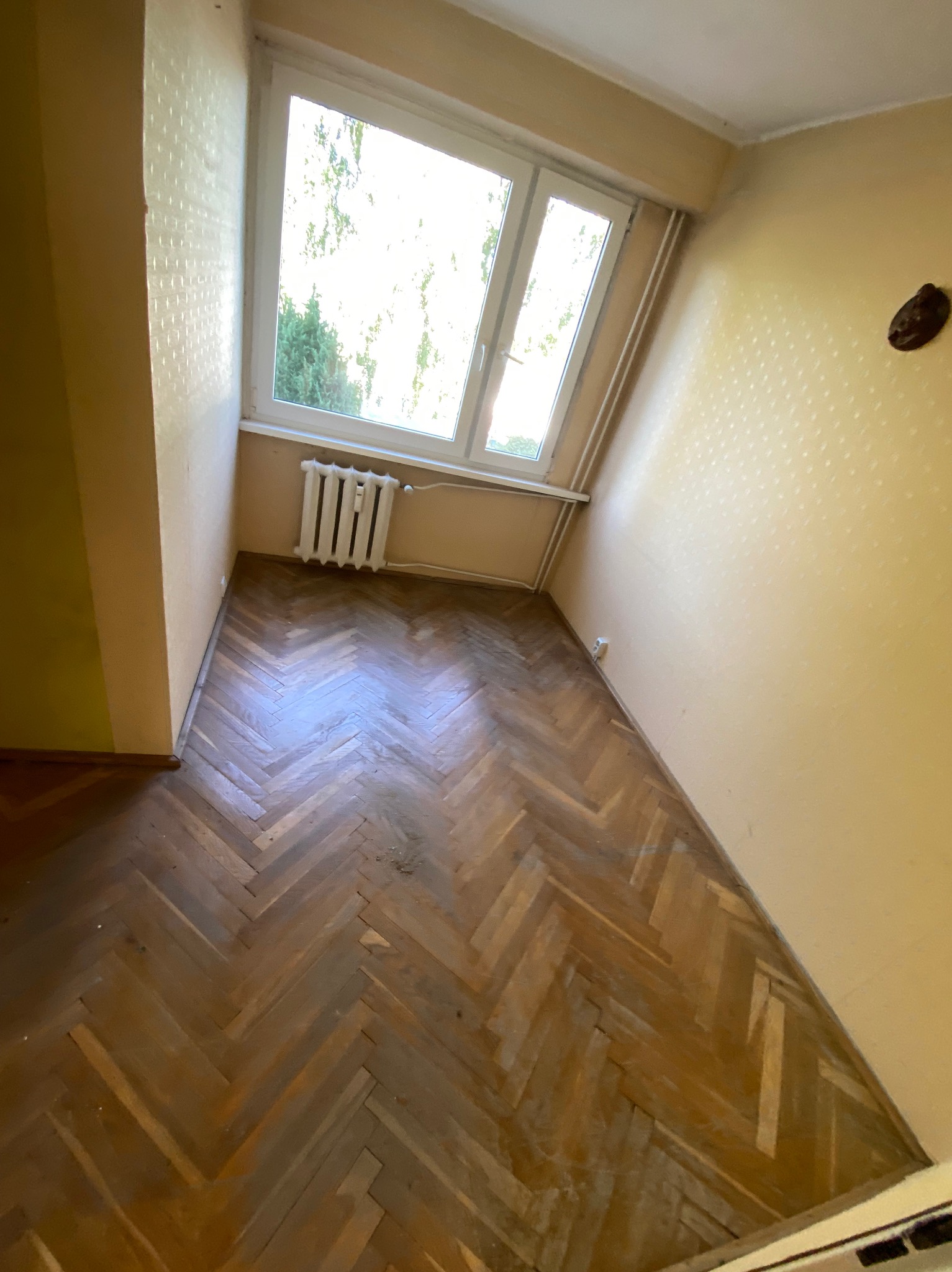 Pusty pokój z parkietem ułożonym w jodełkę, jasne ściany z delikatnym wzorem, okno z widokiem na zieleń. Grzejnik pod oknem. Perspektywa z narożnika pokoju.