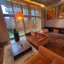 LUXCLEAN LIUBOMYR HRYTSAI - Jasny salon z pomarańczowymi sofami, drewnianą podłogą i dywanem. Duże okno z widokiem na zieleń. Nowoczesny wystrój z obrazami na ścianie i lampą.