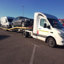 Usługi Transportowe GUTEK CAR DARIUSZ MRÓZ - Firma Transportowa Wrocław
