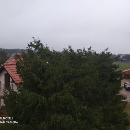 Mateusz glów - Zakładanie trawników Bartoszyce