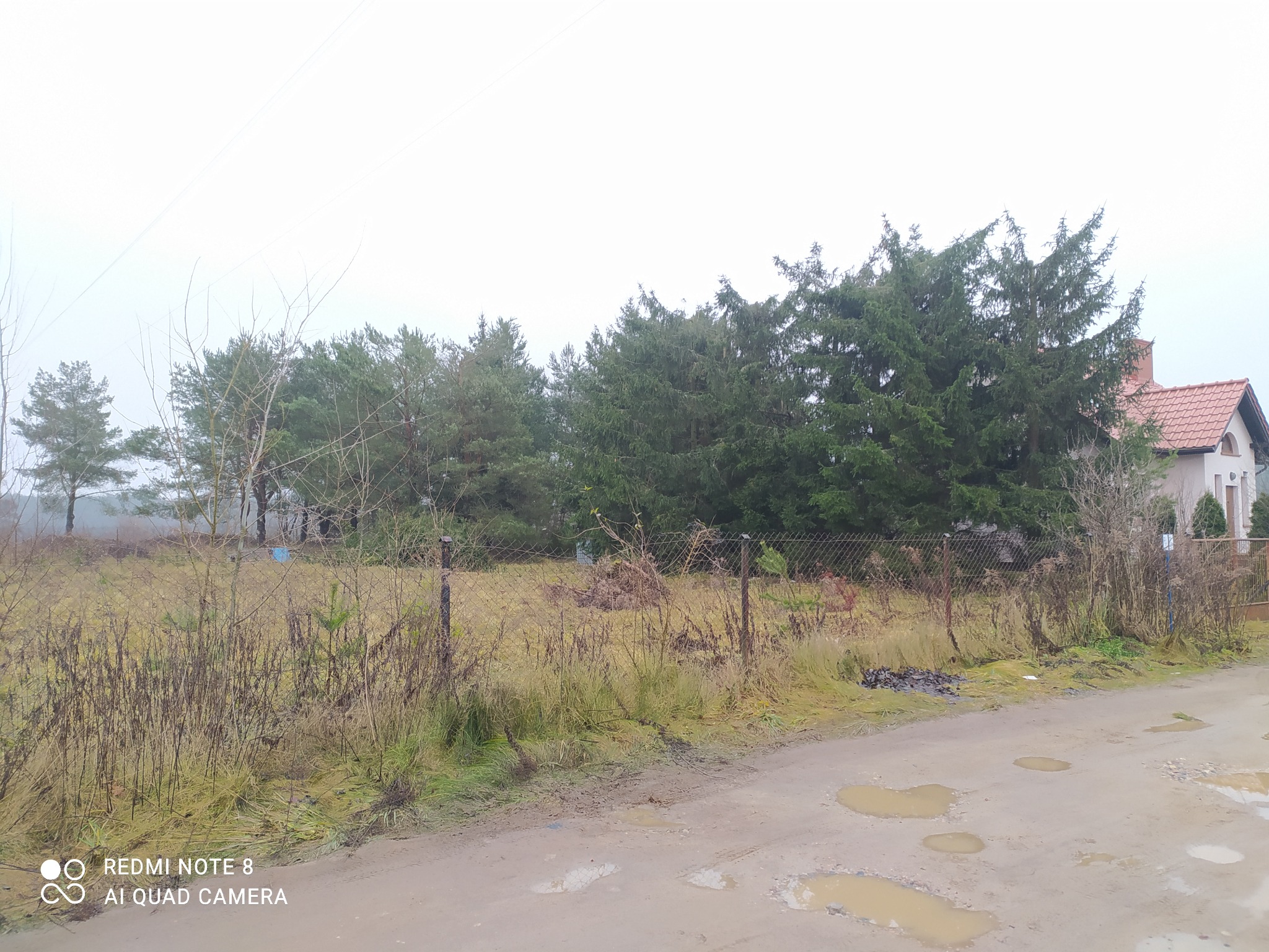 Jesienny krajobraz z drzewami iglastymi i liściastymi za siatką, kałuże na błotnistej drodze, dom z czerwoną dachówką w tle, pochmurne niebo.