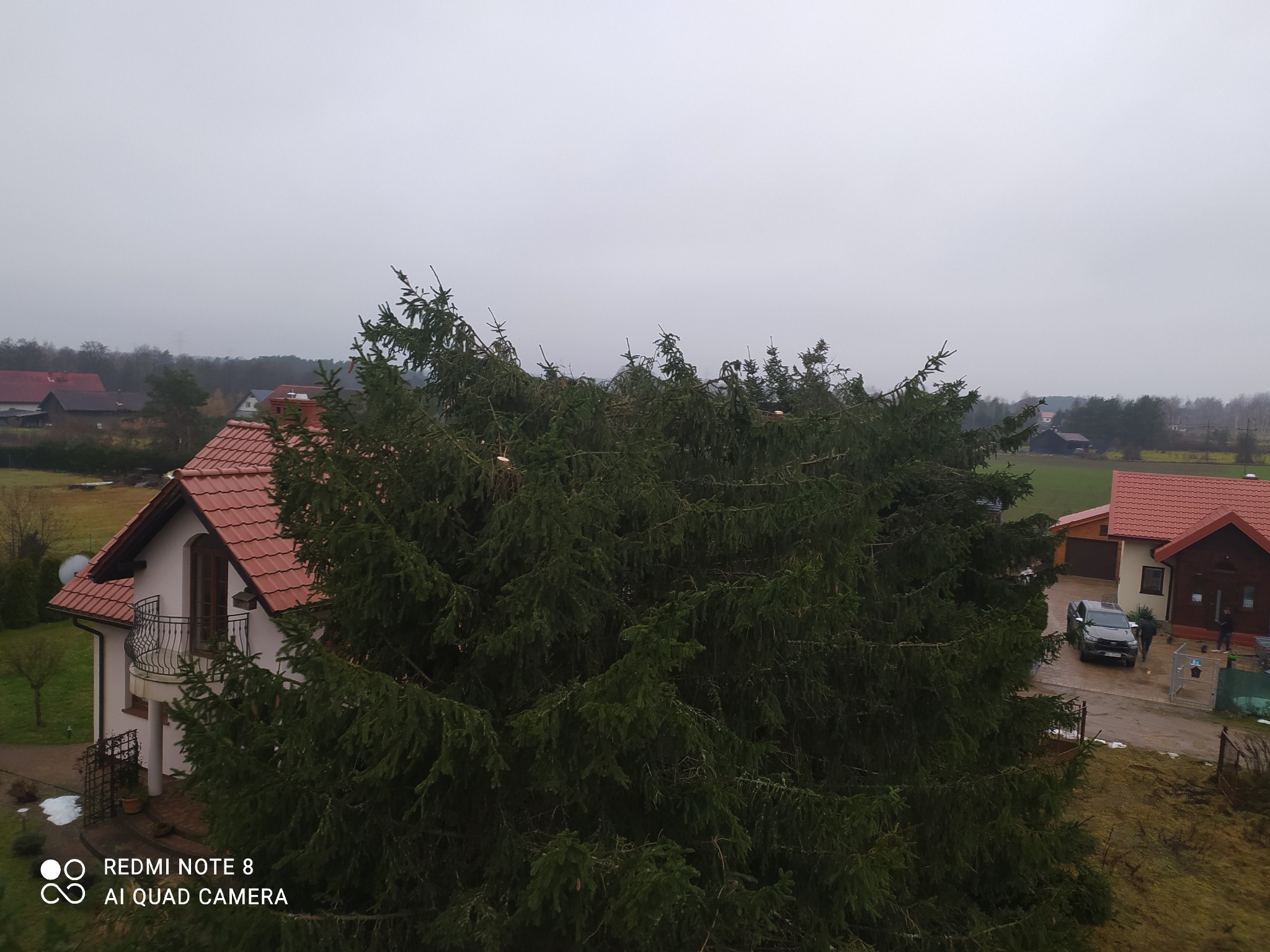 Gęsta, zielona choinka zasłaniająca częściowo dom z czerwoną dachówką na tle pochmurnego nieba. Widoczne inne budynki i drzewa w oddali. Ujęcie z góry.
