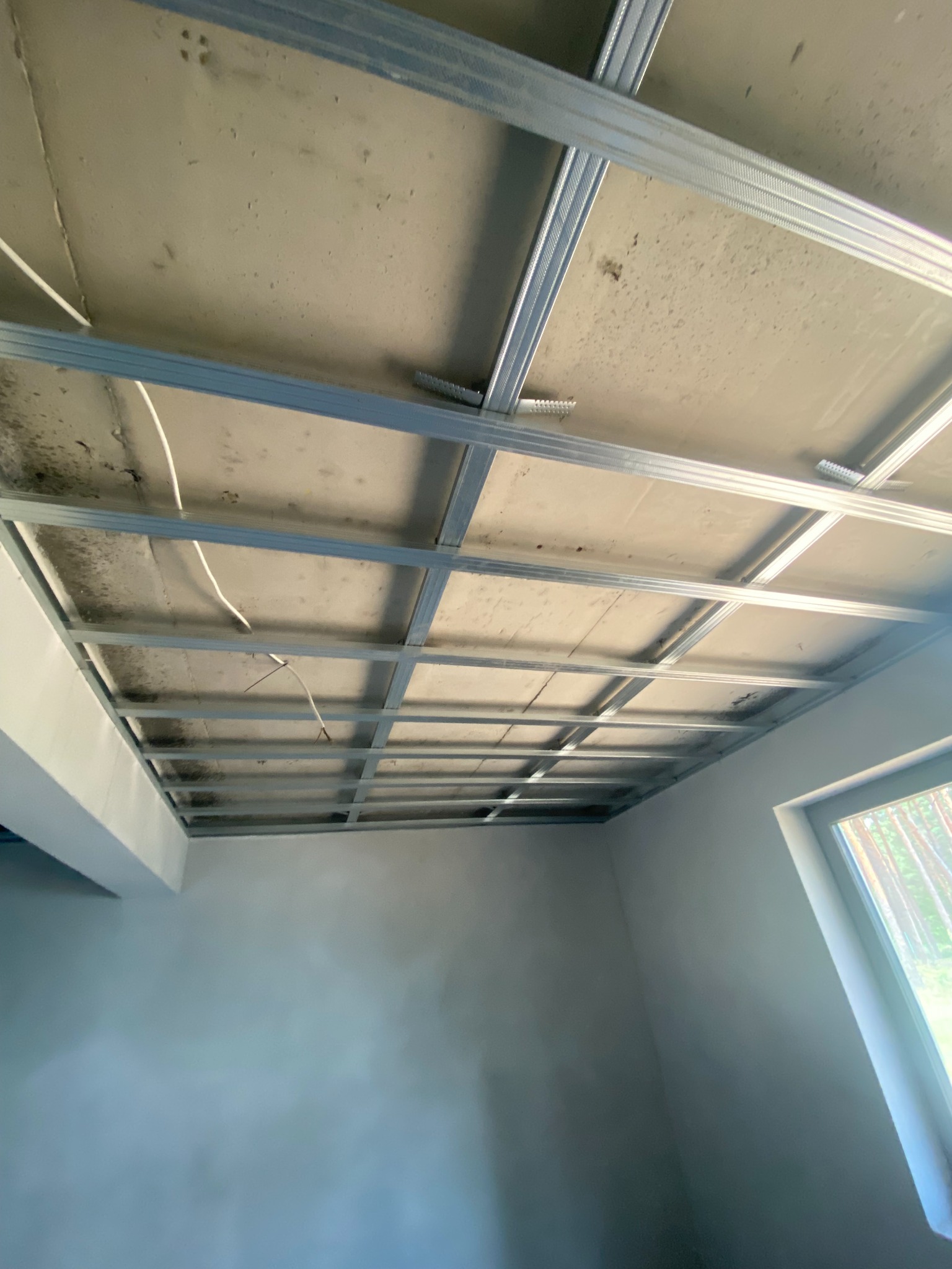 Metalowa konstrukcja sufitu podwieszanego z widocznymi przewodami elektrycznymi, surowy stan, ściany przygotowane do malowania, okno z widokiem na las.