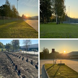 Zieleń Design Karol Błażyca - Mozaika zdjęć: trawnik oświetlony słońcem, nasadzenia drzewek w donicach, teren zielony z brzozami i droga pożarowa o wschodzie słońca. Realizacja terenów zielonych.