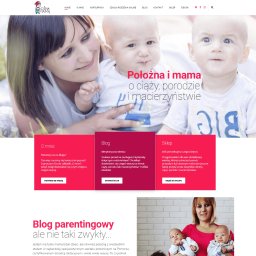 Tworzenie stron internetowych Kwidzyn 1