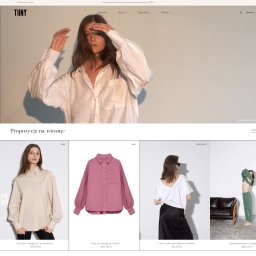 Tworzenie stron internetowych Kwidzyn 2