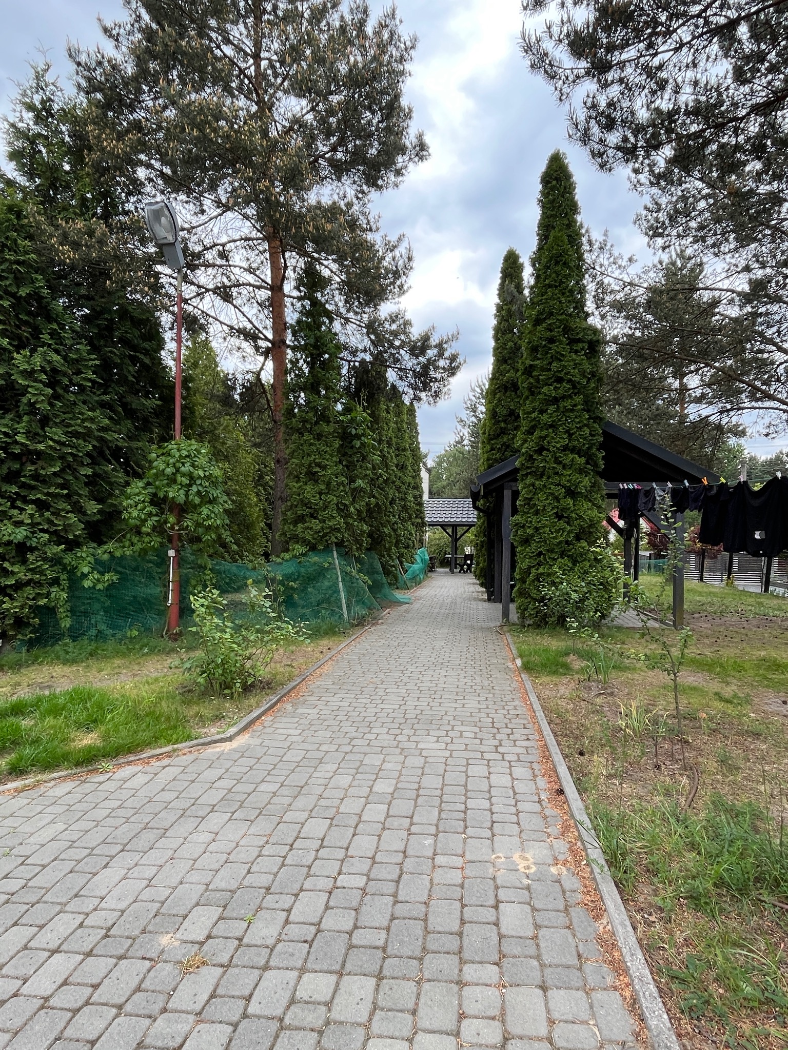 Brukowana ścieżka prowadzi przez zadbany ogród z tujami i altanami, tworząc malowniczy krajobraz posesji. Widok na dom w tle.