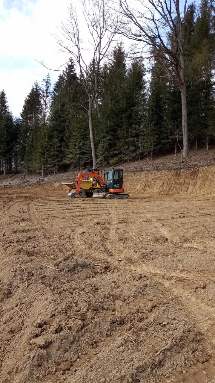 Pomarańczowa minikoparka z przyczepą na wyrównanym, brązowym terenie. W tle las iglasty i drzewa bez liści pod błękitnym niebem.