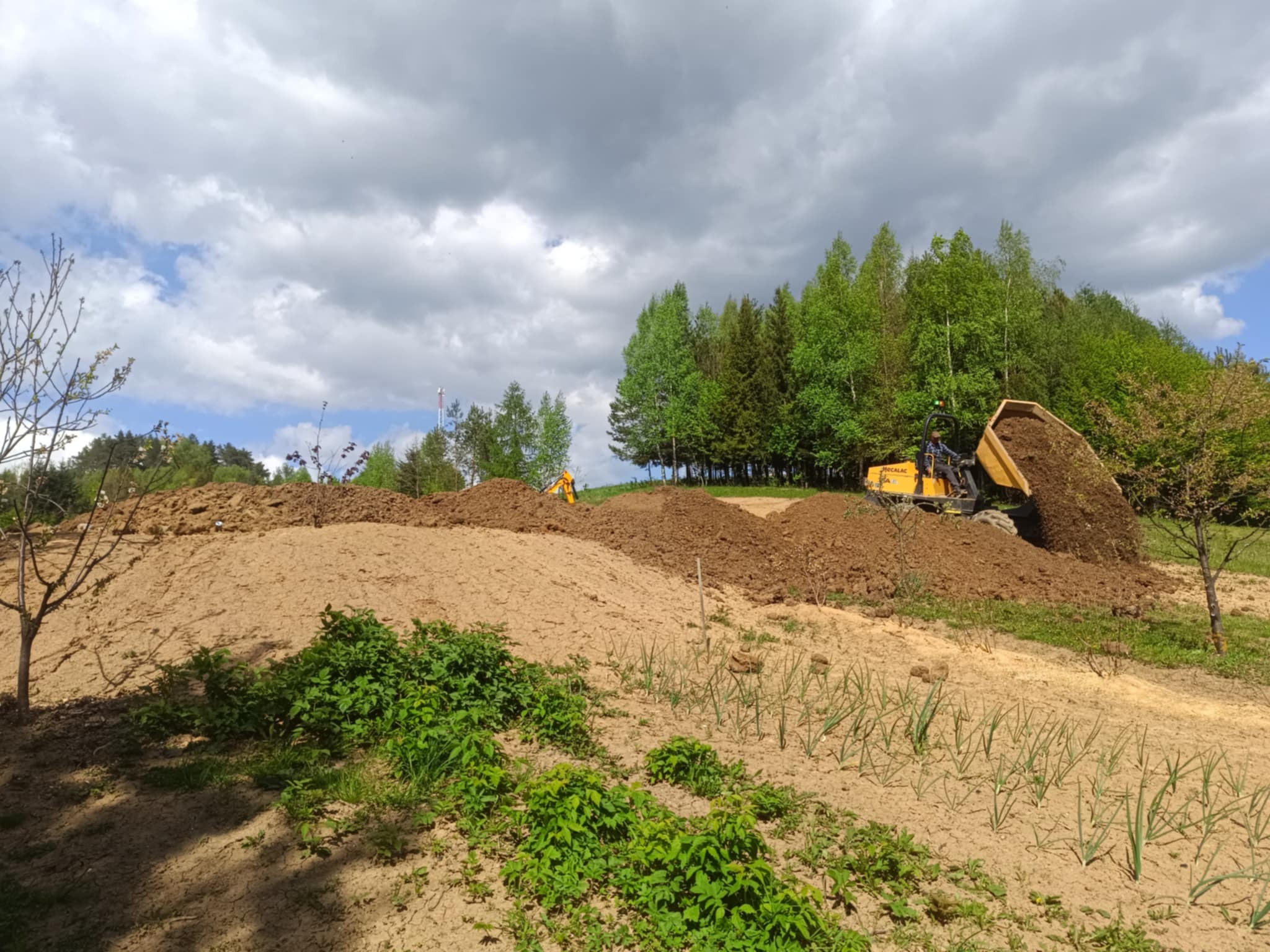 Żółta wywrotka wysypuje ziemię na nierówny teren z młodymi drzewami w tle, pod pochmurnym niebem. Widoczne ślady pracy ziemnej i roślinność.