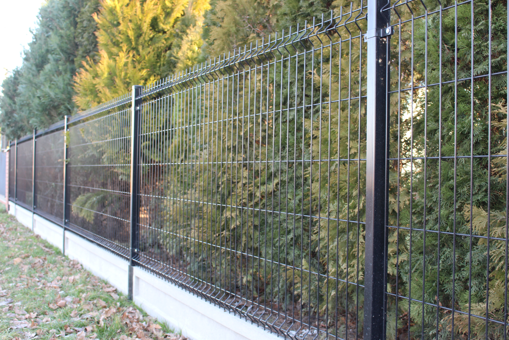 Nowoczesne ogrodzenie panelowe z metalu w kolorze grafitowym, na betonowej podmurówce, z zielonymi tujami w tle. Widok z boku, z bliska, oświetlenie dzienne.