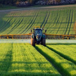 Brykiet drzewny Zaliwie-Piegawki 3