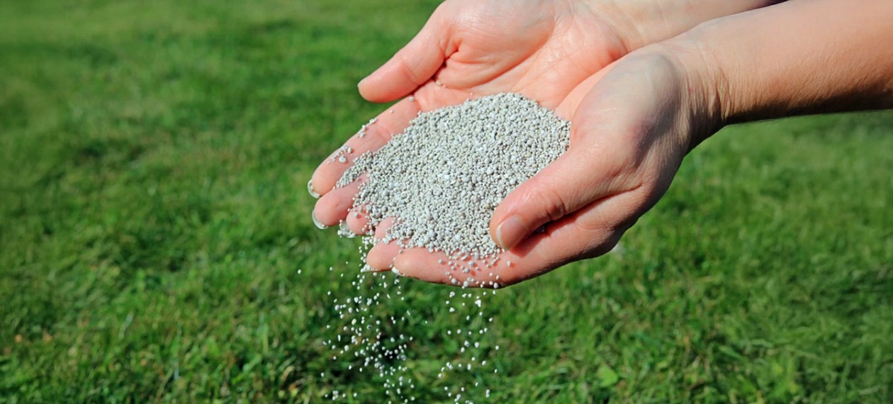 Dłonie rozsypują granulowany nawóz na tle zielonej trawy. Jasne, naturalne światło podkreśla teksturę nawozu i świeżość trawnika. Ujęcie z bliska.