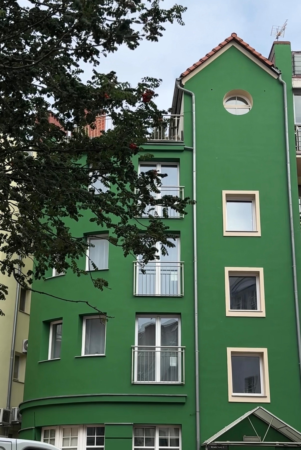 Zielona elewacja budynku z balkonami i oknami w kremowych ramach, widziana z dołu przez gałęzie drzewa. Nietypowy okrągły otwór okienny na szczycie.