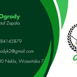 Odśnieżanie dróg i placów Nekla 2