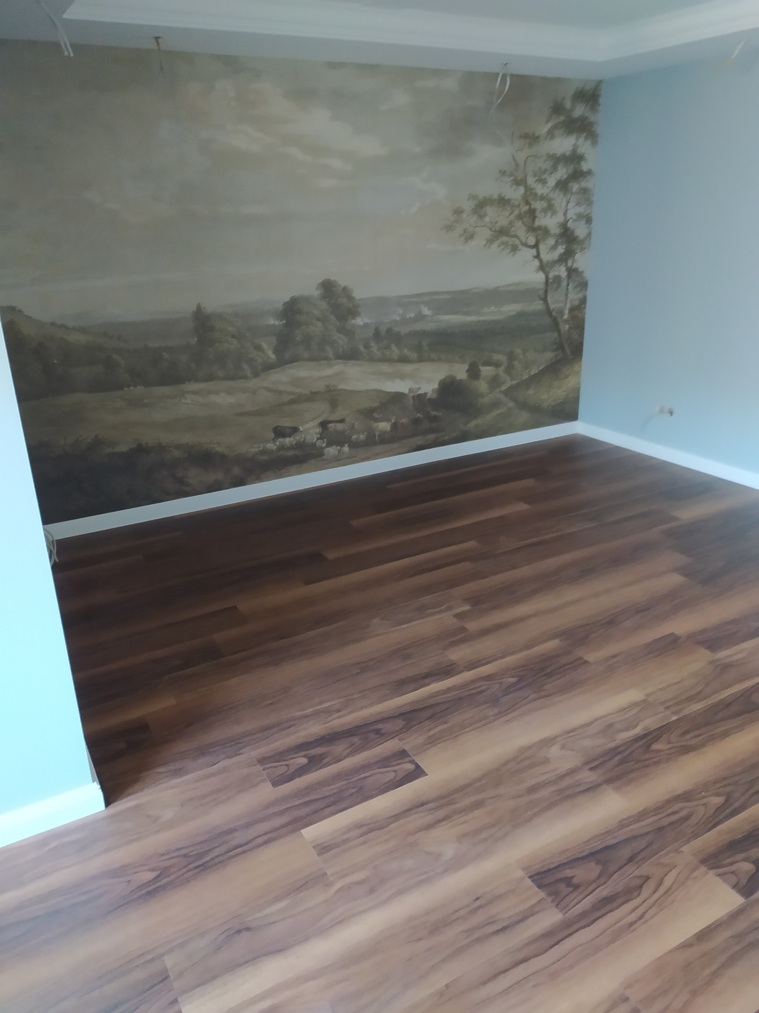 Pokój po remoncie: brązowe panele podłogowe, ściana z fototapetą przedstawiającą krajobraz, jasnoniebieska ściana boczna. Widoczne listwy przypodłogowe.