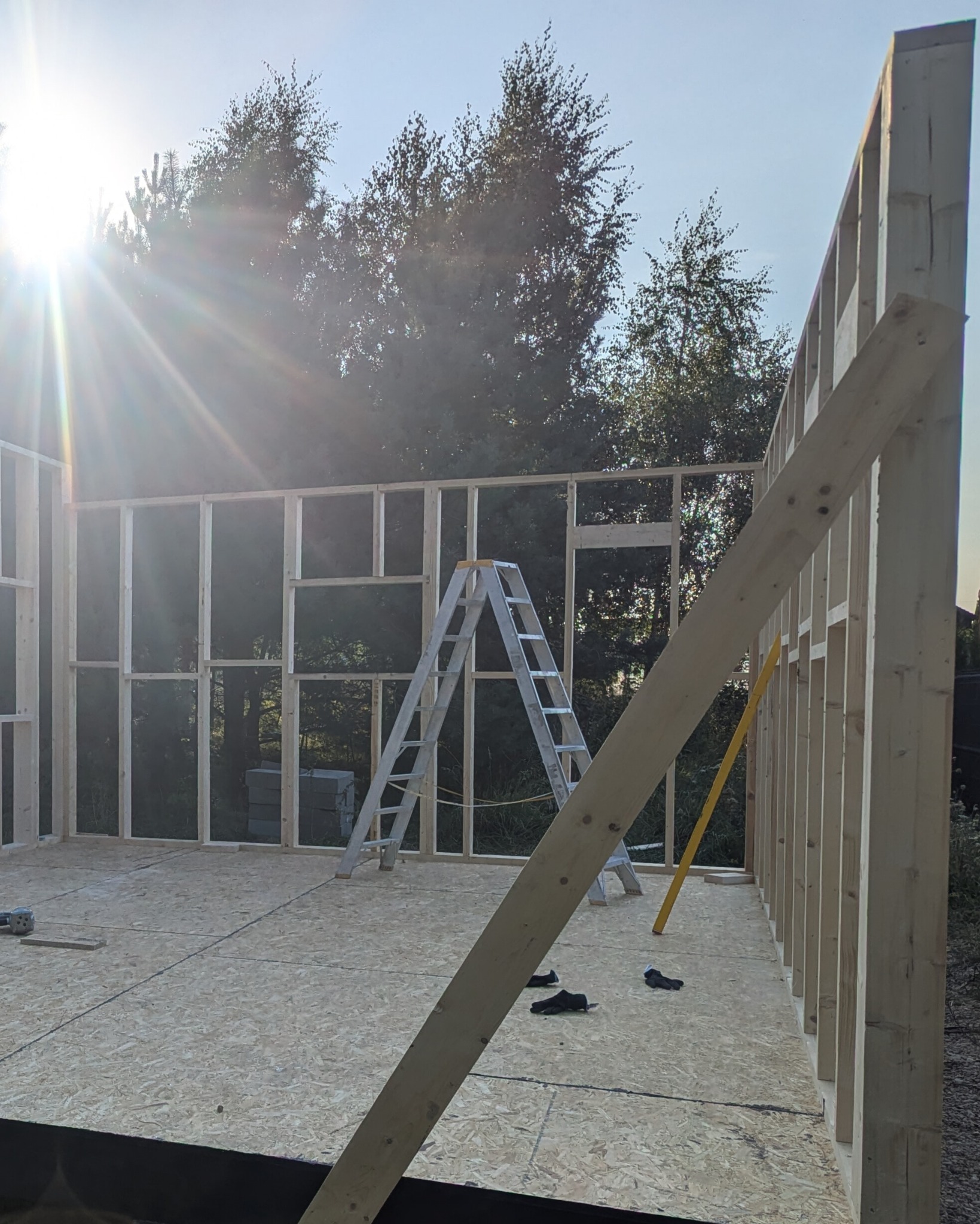 Wnętrze domu szkieletowego w trakcie budowy: drewniana konstrukcja ścian, podłoga z płyt OSB, drabina i narzędzia. Słońce oświetla konstrukcję na tle zieleni.